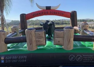 Best Mechanical Bull Service