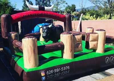 Bull & Jumper Rental