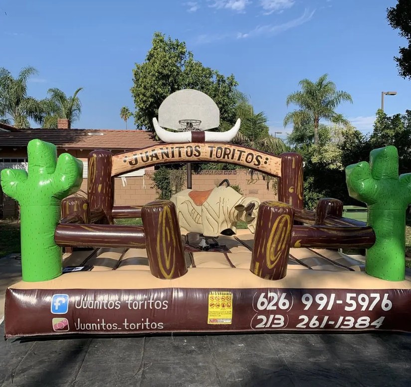 Bull & Jumper Rental