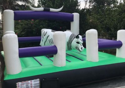 Excellent Mechanical Bull Rental