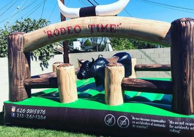 Excellent Mechanical Bull Service