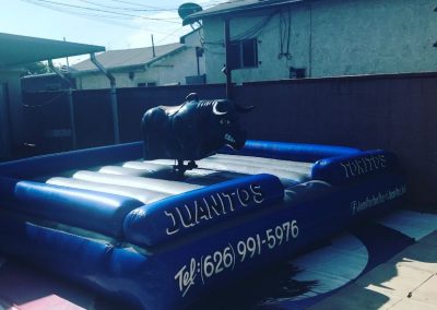 Great Mechanical Bull Rental