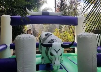 Great Mechanical Bull Service