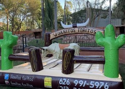 Incredible Mechanical Bull Service