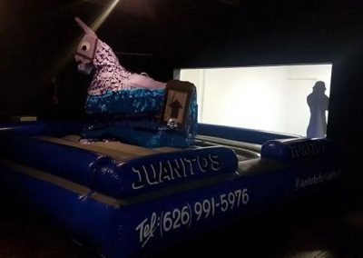 Local Mechanical Bull Rental