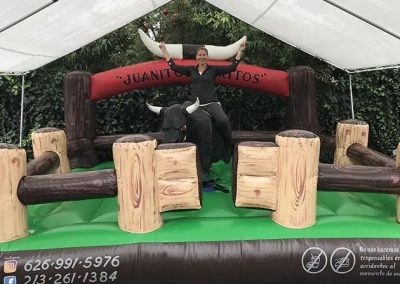 Mechanical Bull Rental