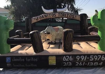 Mechanical Bull Service