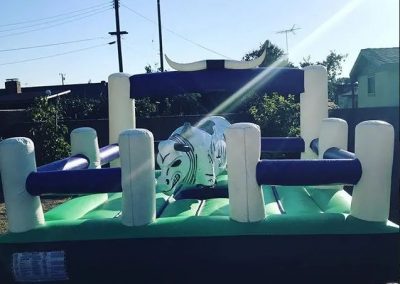 Perfect Mechanical Bull Service