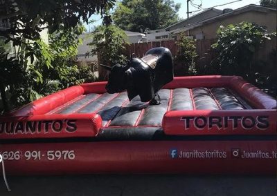 Professional Mechanical Bull Rental