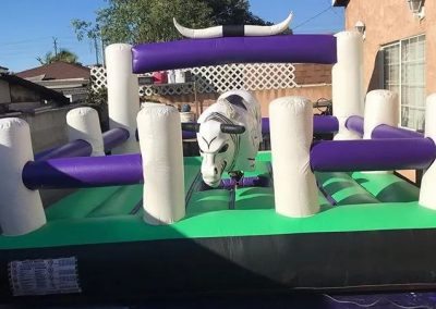 Professional Mechanical Bull Service