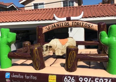 Reliable Mechanical Bull Service