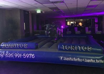 Trusted Mechanical Bull Rental